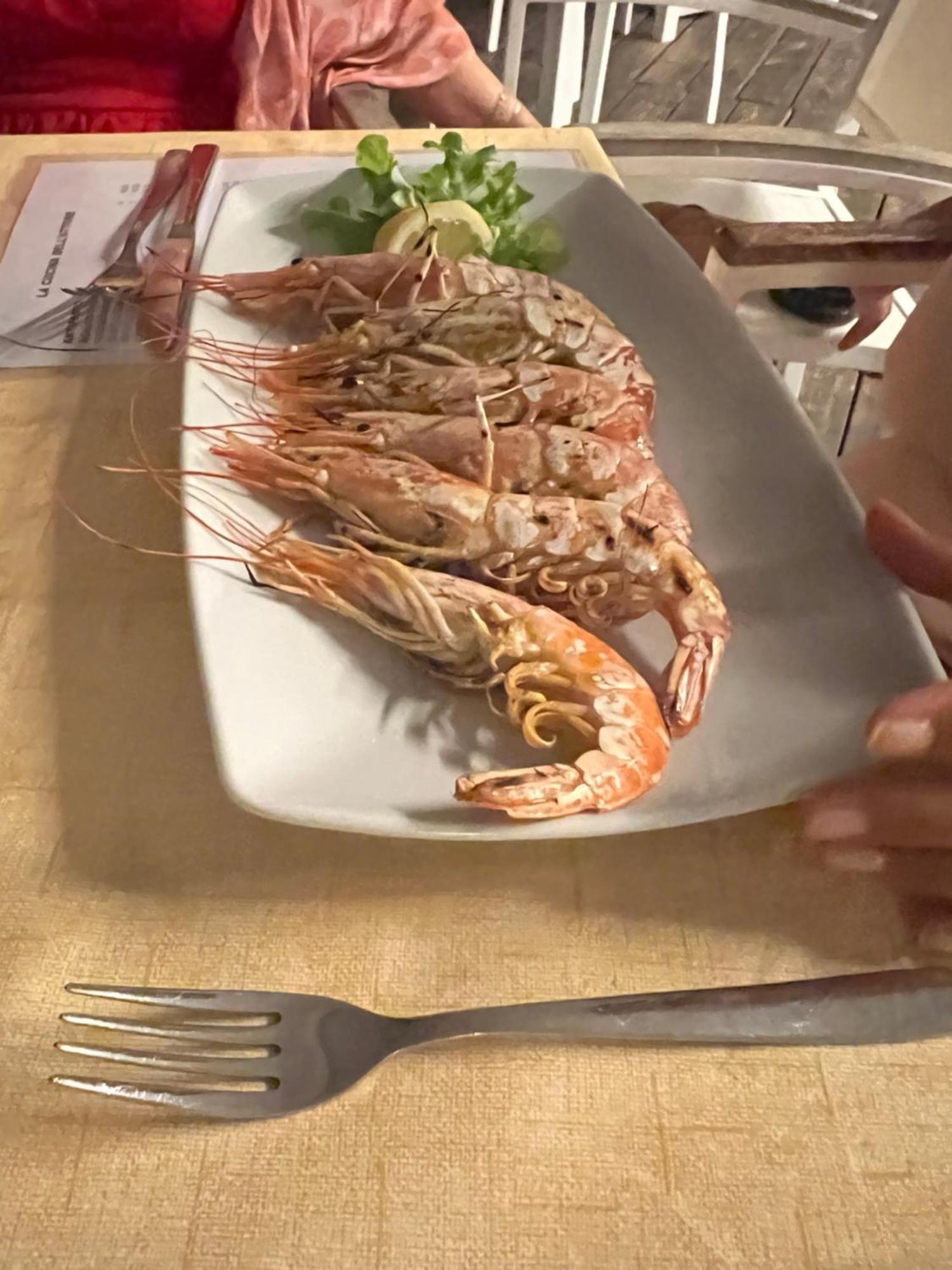 דירות טורה אנונציאטה Sogno Di Mezza Estate מראה חיצוני תמונה
